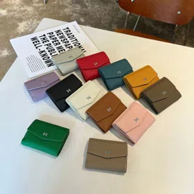 Hermès simple flap multi-card wallet-5790  